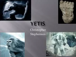 YETIS