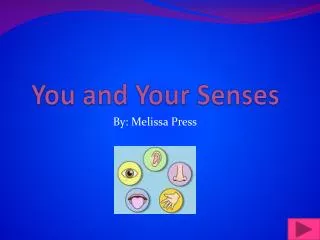 You and Your Senses