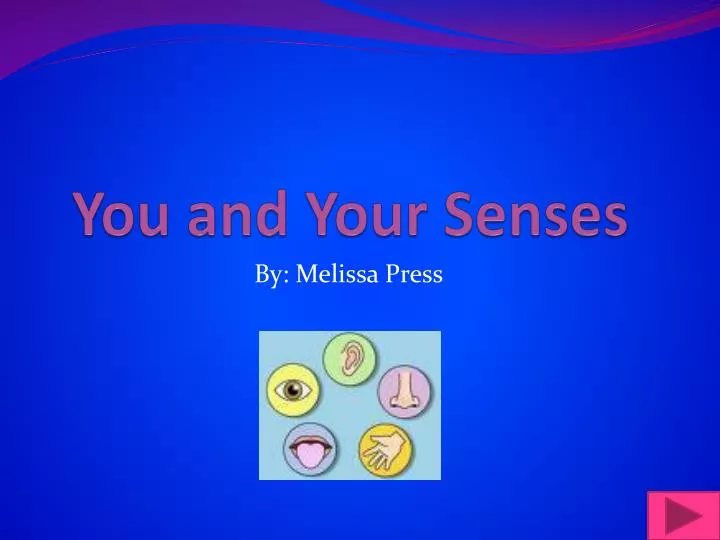 you and your senses