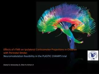 Effects of rTMS on Ipsilateral Corticomotor Projections in Children with Perinatal Stroke: