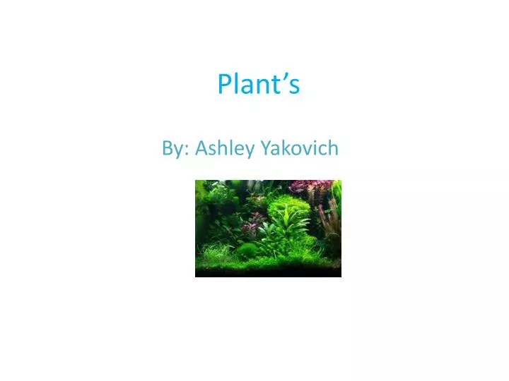 plant s