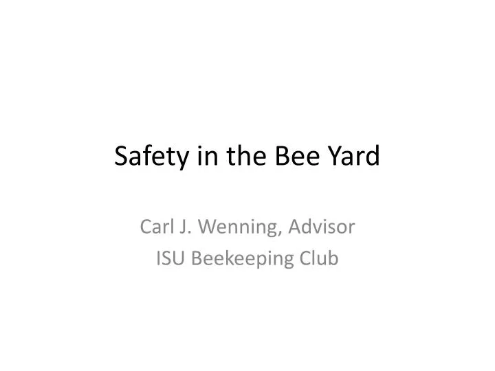 safety in the bee yard