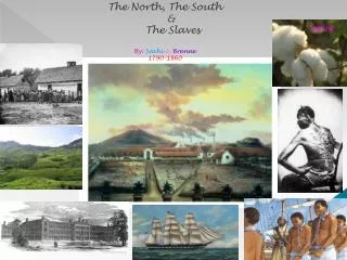 The North, The South &amp; The Slaves By: Sachi &amp; Brenae 1790-1860
