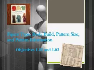 Figure Type, Body Build , Pattern Size, and Pattern Information