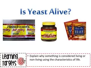 Is Yeast Alive?