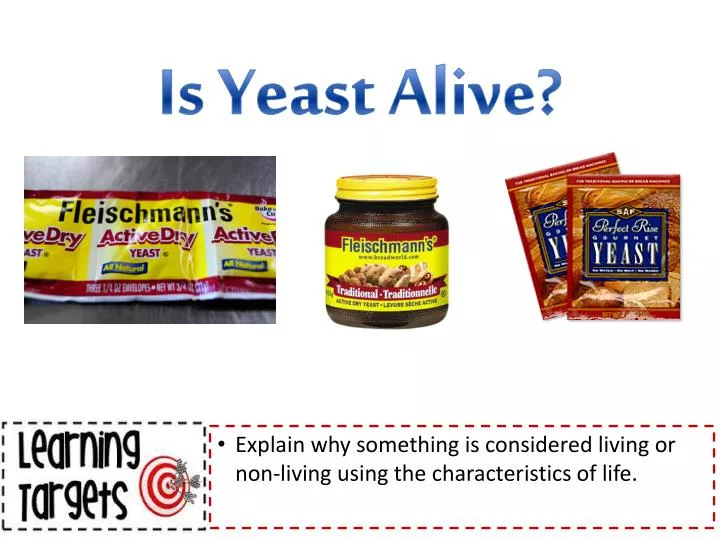 is yeast alive