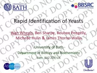 Rapid Identification of Yeasts