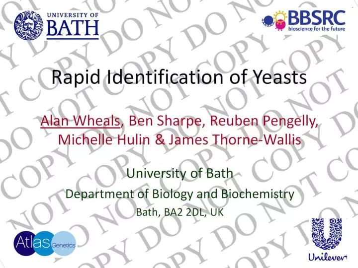 rapid identification of yeasts