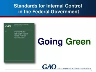 Standards for Internal Control in the Government