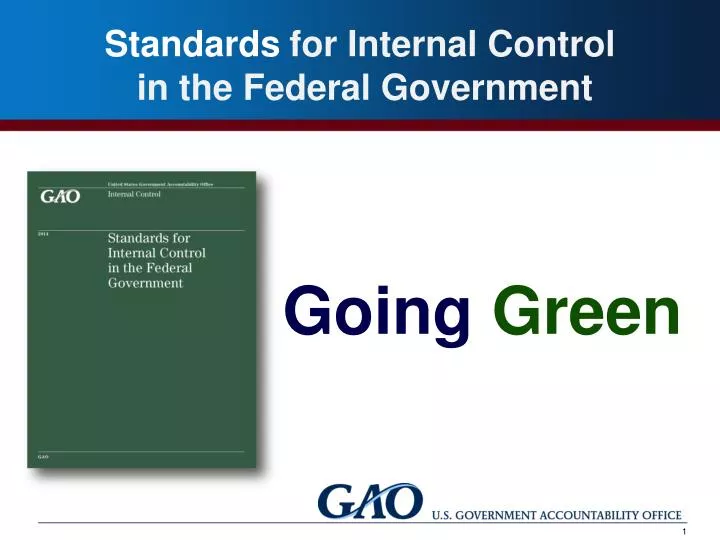 standards for internal control in the government