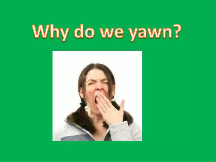 PPT - Why do we curse? PowerPoint Presentation, free download - ID:4481011