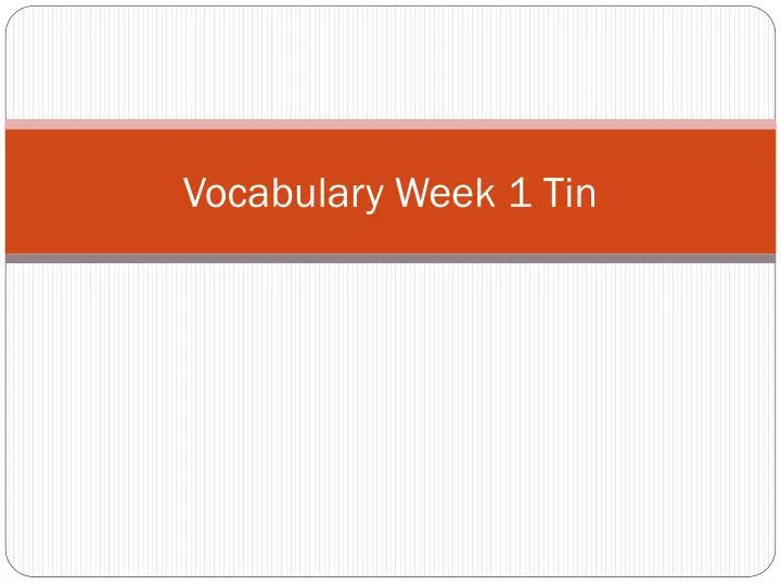 vocabulary week 1 tin