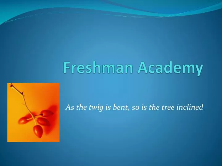 freshman academy