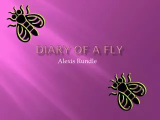 Diary of a fly