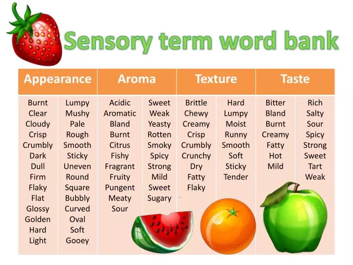 sensory term word bank