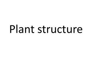 Plant structure