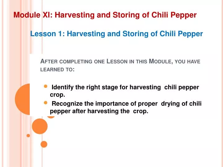 module xi harvesting and storing of chili pepper