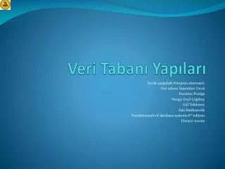 veri taban yap lar