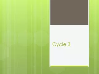 Cycle 3