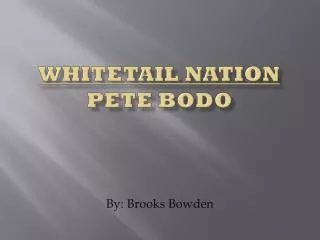 Whitetail nation Pete Bodo