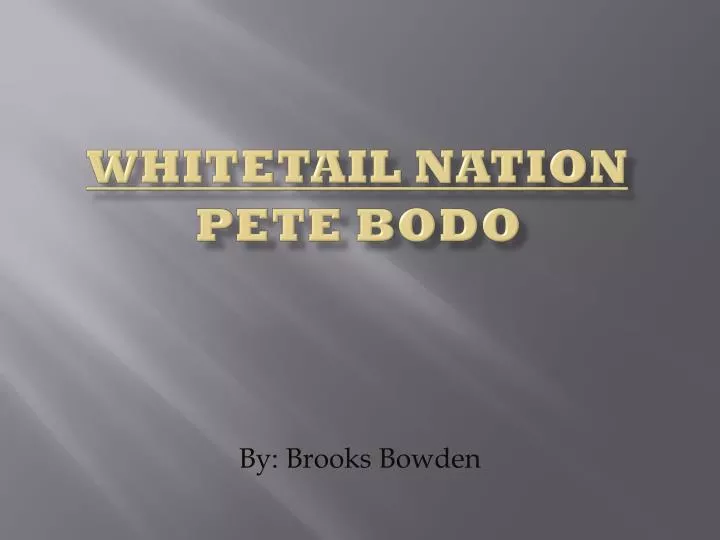 whitetail nation pete bodo