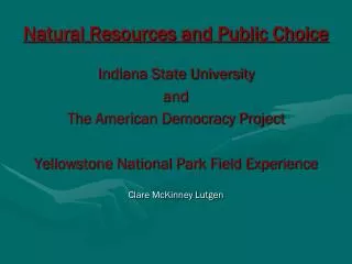 Natural Resources and Public Choice