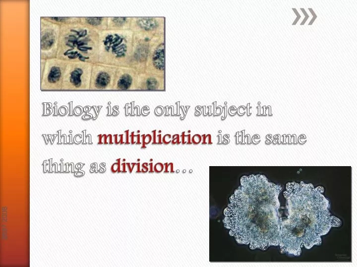biology is the only subject in which multiplication is the same thing as division