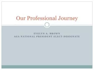 Our Professional Journey
