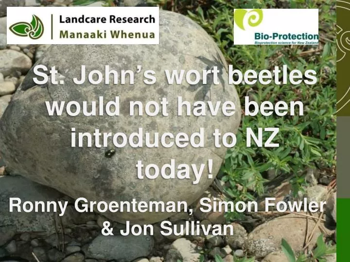 st john s wort beetles would not have been introduced to nz today