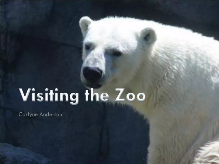 visiting the zoo