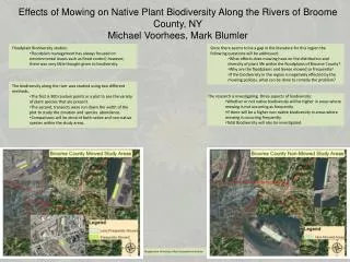 Floodplain Biodiversity studies: