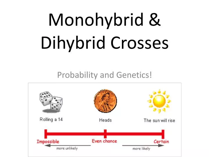 monohybrid dihybrid crosses
