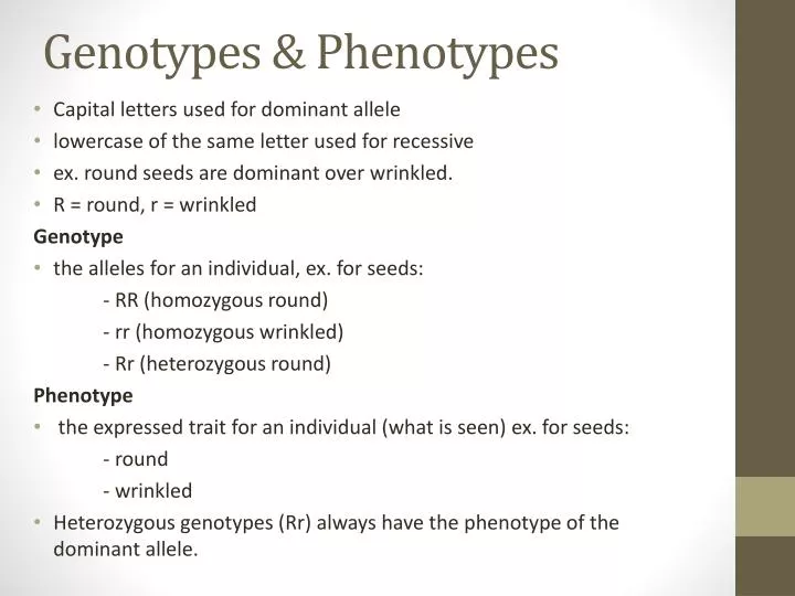 genotypes phenotypes