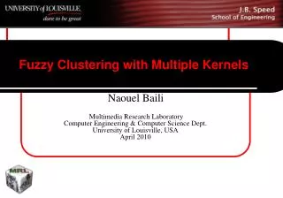 Fuzzy Clustering with Multiple Kernels