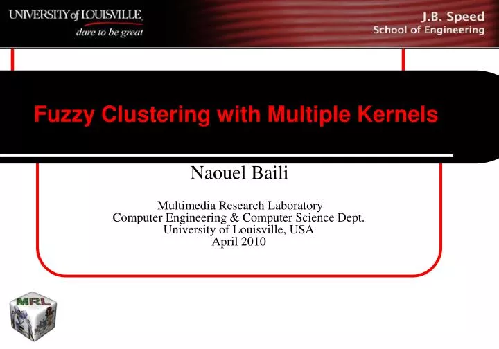 fuzzy clustering with multiple kernels