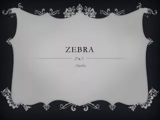 zebra
