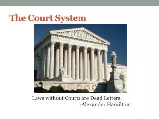 The Court System