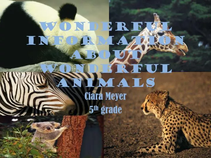 wonderful information about wonderful animals