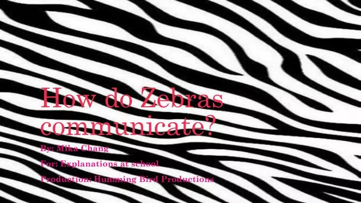 how do zebras communicate
