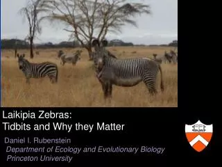 Laikipia Zebras: Tidbits and Why they Matter Daniel I. Rubenstein