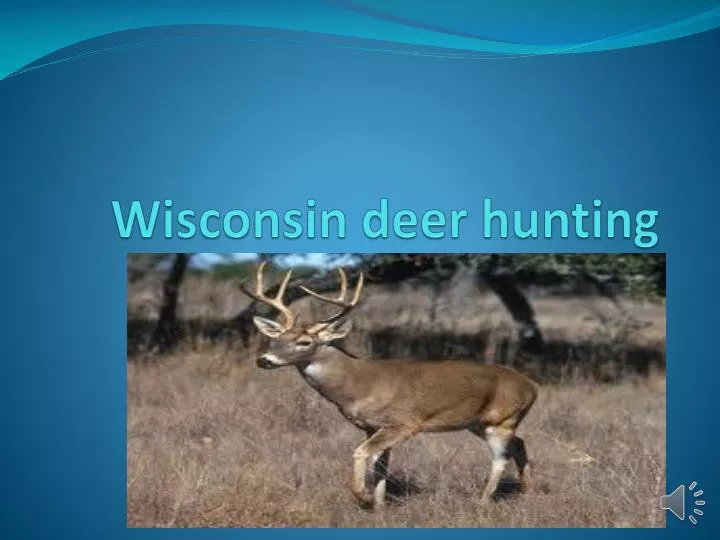 wisconsin deer hunting