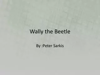 wally the beetle