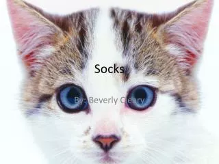 Socks