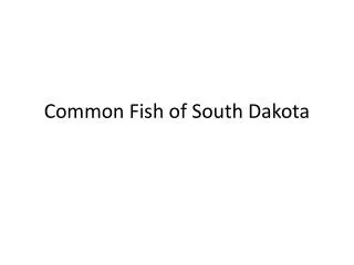 common fish of south dakota