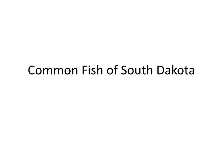 common fish of south dakota