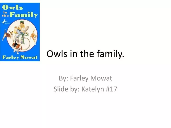 owls in the family