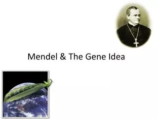 Mendel &amp; The Gene Idea