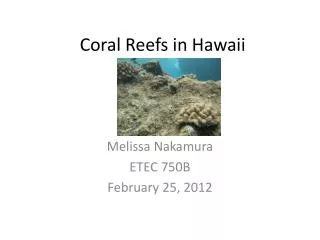 Coral Reefs in Hawaii