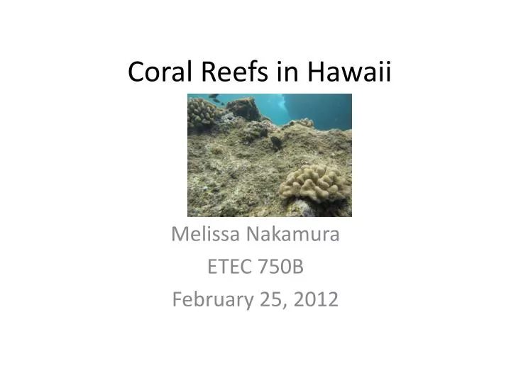 coral reefs in hawaii