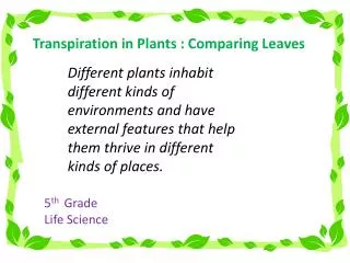 Transpiration in Plants : Comparing Leaves